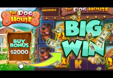 BIG WIN ON THE DOG HOUSE MEGAWAYS SLOT | Joe Stream Highlights #63