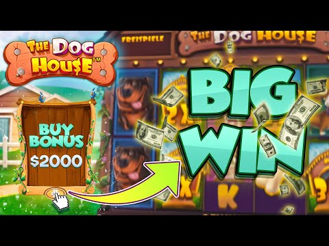 BIG WIN ON THE DOG HOUSE MEGAWAYS SLOT | Joe Stream Highlights #63