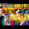 WORLD RECORD WIN on Dog House Megaways Slot ($25,000 BONUS BUY)