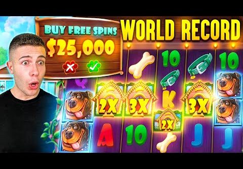 WORLD RECORD WIN on Dog House Megaways Slot ($25,000 BONUS BUY)