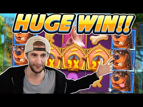 HUGE WIN! Dog House Big win – Online Slot from Casinodaddy Live Stream
