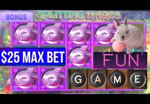 Splitting Hares Slot Machine $25 Max Bet Bonus Win Fun Game