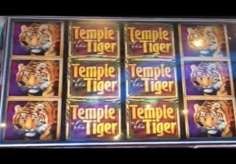 ** $500 Free Play ** BIG WINS ** Temple of the Tiger ** SLOT LOVER **