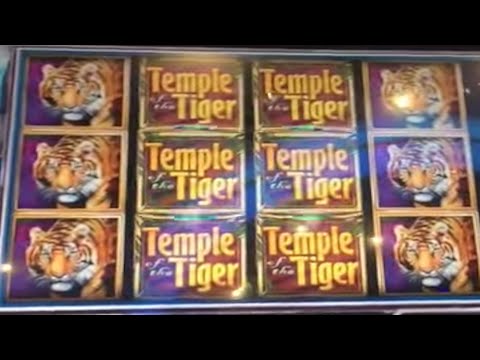 ** $500 Free Play ** BIG WINS ** Temple of the Tiger ** SLOT LOVER **