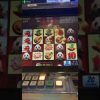 Wild panda slot big win