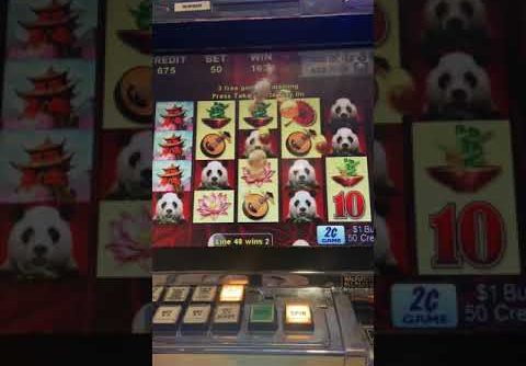 Wild panda slot big win