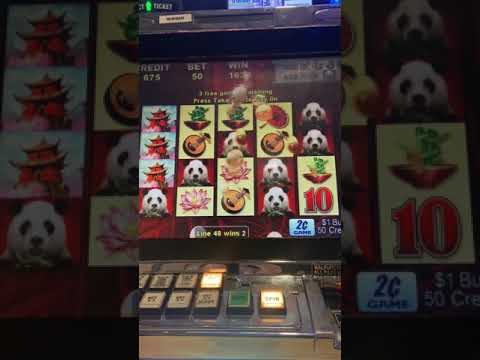 Wild panda slot big win