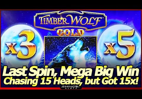 TimberWolf Gold Slot Machine – MEGA BIG WIN! Chasing 15 Gold Heads, Got 15x Wolves Instead!