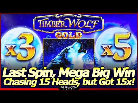 TimberWolf Gold Slot Machine – MEGA BIG WIN! Chasing 15 Gold Heads, Got 15x Wolves Instead!