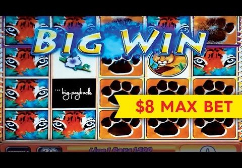 Tiger’s Realm Slot – lNCREDIBLE $1000 BIG WIN – $8 Bet!