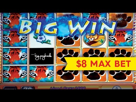 Tiger’s Realm Slot – lNCREDIBLE $1000 BIG WIN – $8 Bet!