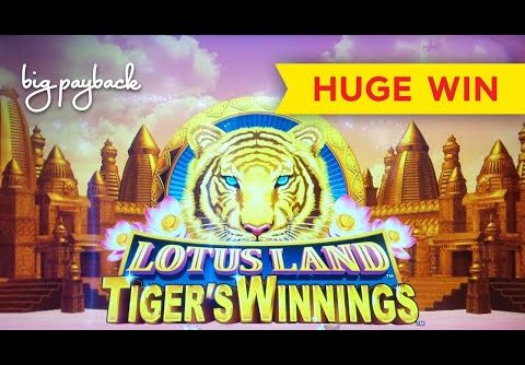 HUGE WIN RETRIGGER! Lotus Land Tiger’s Winnings Slot – SO UNEXPECTED, SO AWESOME!