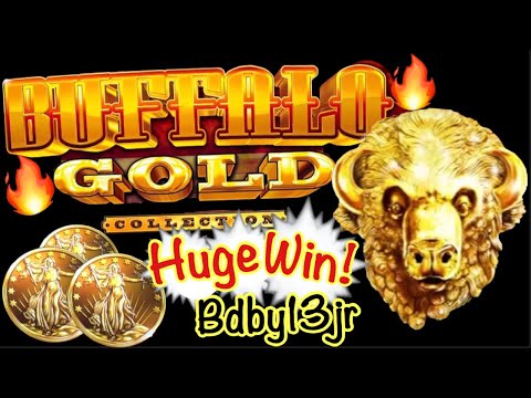 BUFFALO GOLD SLOT MACHINE 🔥 HUGE WIN!! THE CHASE CONTINUES