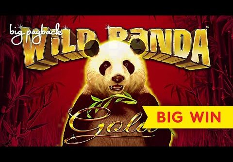 BIG WIN, MAX BET! Wild Panda Gold Slot – GREAT SESSION!