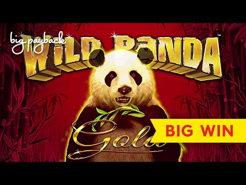 BIG WIN, MAX BET! Wild Panda Gold Slot – GREAT SESSION!