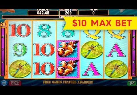 Lotus Flower Slot – $10 Max Bet – BIG WIN BONUS!