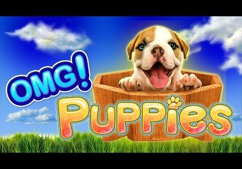 OMG! Puppies Slot – BIG WIN SESSION!