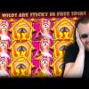 Streamer Insane New Big Win on Dog House slot – TOP 5 Biggest wins of the week