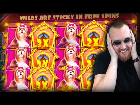 Streamer Insane New Big Win on Dog House slot – TOP 5 Biggest wins of the week