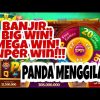 ROOM TERBAIK SLOT PANDA || BANJIR BIG WIN || MEGA WIN|| SUPER WIN…