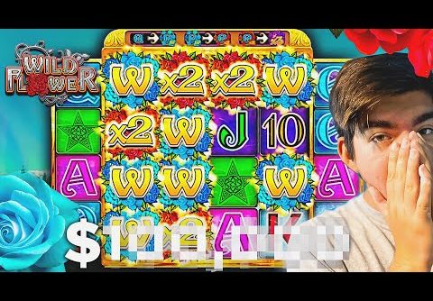 I GOT MY BIGGEST WIN EVER ON THE NEW WILD FLOWER SLOT!