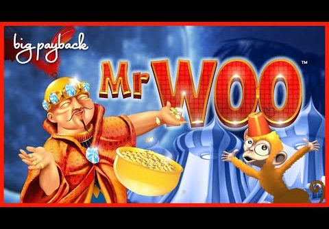 Mr. Woo Slot – BIG WIN BONUS, I COULDN’T BELIEVE IT!