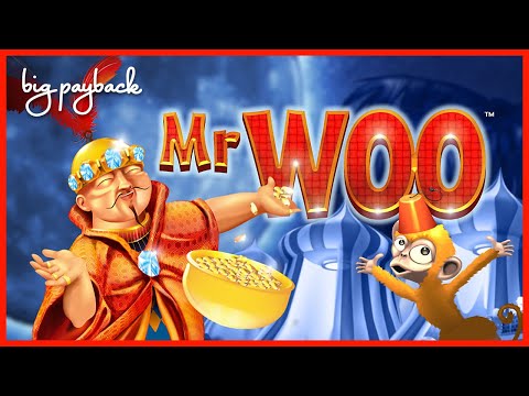 Mr. Woo Slot – BIG WIN BONUS, I COULDN’T BELIEVE IT!