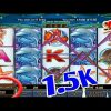 Dolphin reef slot 💰1.5K Mega bigwin ll Mega888 ll free game ll SGP