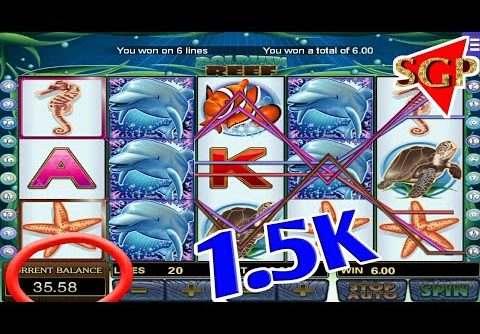 Dolphin reef slot 💰1.5K Mega bigwin ll Mega888 ll free game ll SGP