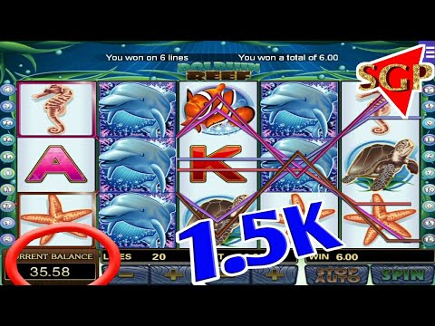 Dolphin reef slot 💰1.5K Mega bigwin ll Mega888 ll free game ll SGP