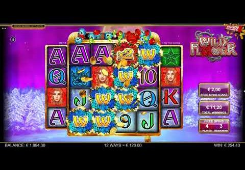 Wild Flower Enhanced Free Spins MEGA Win!