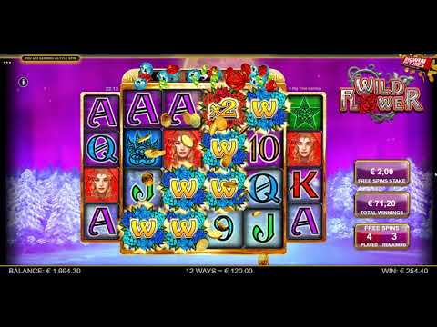 Wild Flower Enhanced Free Spins MEGA Win!