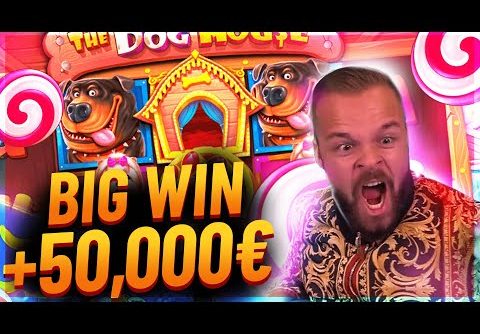 Streamer Insane win 50.000€ on The Dog House Slot – Top 5 Biggest Wins of week