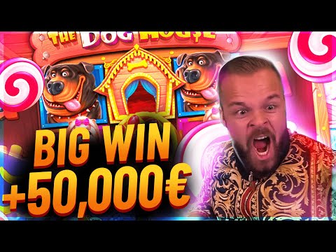 Streamer Insane win 50.000€ on The Dog House Slot – Top 5 Biggest Wins of week