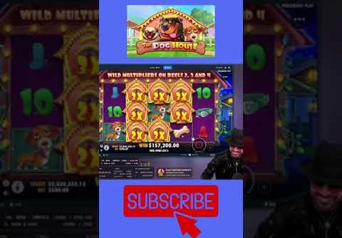 Roshtein Dog House Megaways #shorts #slots