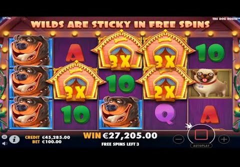 The Dog House  BIG WINS – Record win on slot  100.000£