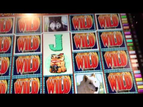 Wolf Run Slot GOING WILD $$$ – Very BIG Win @ Bellagio Casino Las Vegas