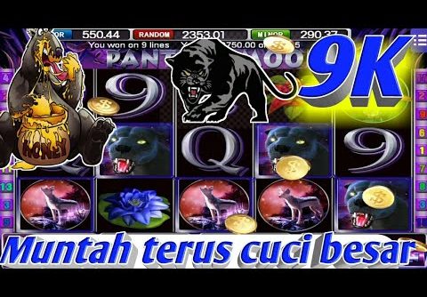 New Record Boss💰9K😱🤑 Super Bigwin ll Bonus Bears ll Panther Moon ll Free bonus game  (MEGA888) SGP