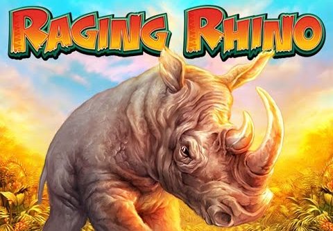 Raging Rhino Slot 2 bonuses -Mega Win 5 bonus Symbols