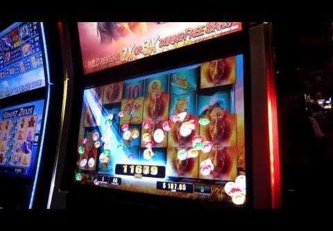WMS – Raging Rhino – Over 500x Slot Machine Mega Hit!!
