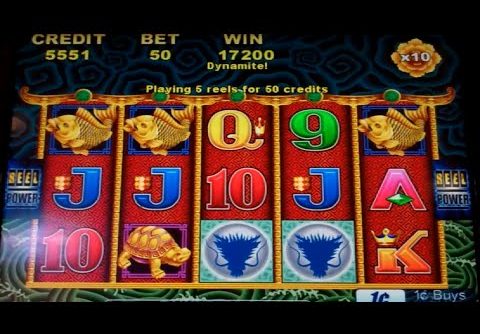 5 Dragons Slot Machine Bonus – 8 Free Games w/ 10x Multiplier – MEGA BIG WIN (#2)