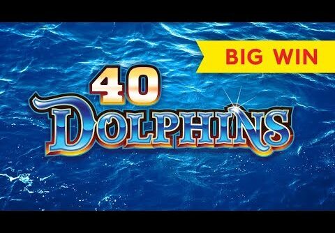 40 Dolphins Slot – BIG WIN BONUS!