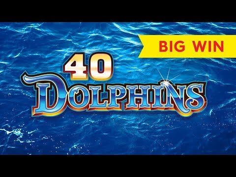 40 Dolphins Slot – BIG WIN BONUS!
