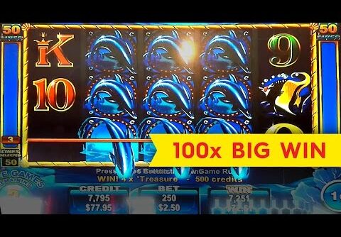 50 Dolphins Slot – BIG WIN BONUS!