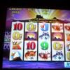 BIG Buffalo Slot Bonus – 238x Win