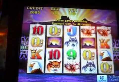 BIG Buffalo Slot Bonus – 238x Win