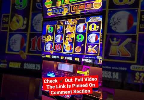 Winning Mega Bucks On Dragon Cash Slot #SHORTS