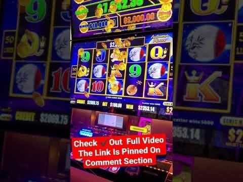 Winning Mega Bucks On Dragon Cash Slot #SHORTS