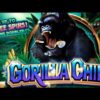 Gorilla Chief Slot Machine – Super Big Win (??)