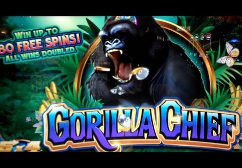 Gorilla Chief Slot Machine – Super Big Win (??)